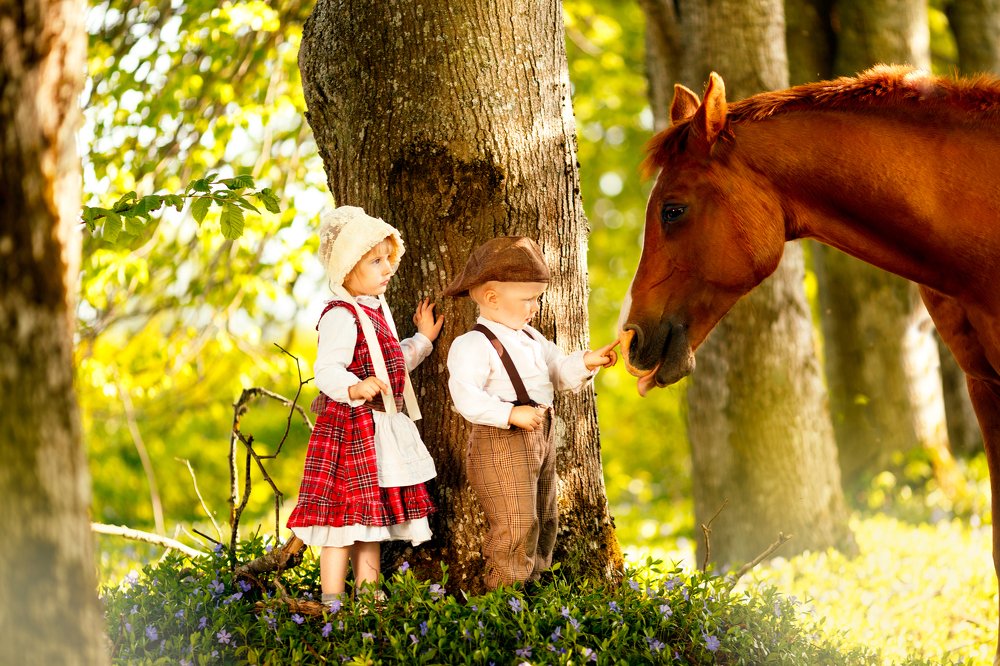 Photograph by Renate Tompsone