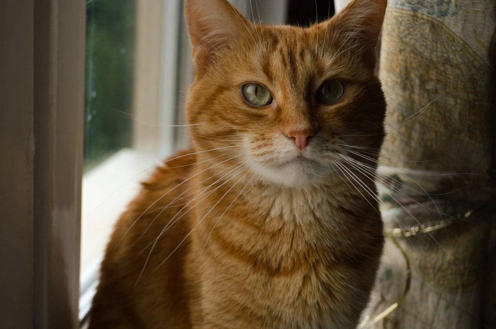 Photograph by Полина Журавлева