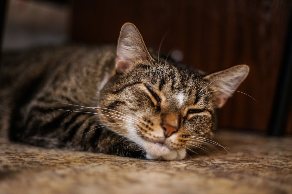 Photograph by Дмитрий Малышев