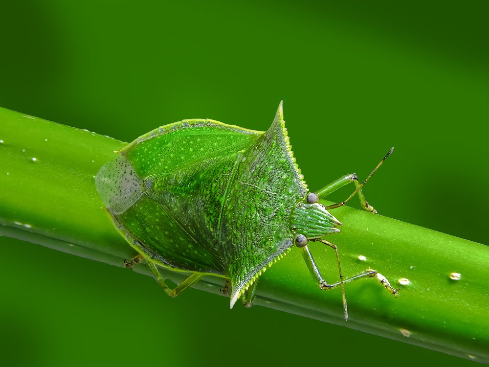 Photograph by Rui Santos