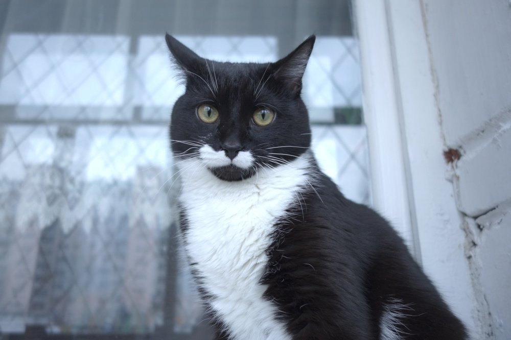 Photograph by Анатолий Брагин