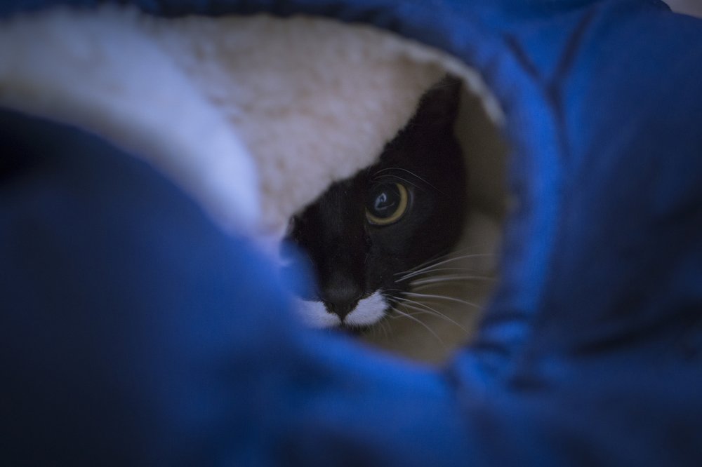 Photograph by Анатолий Брагин