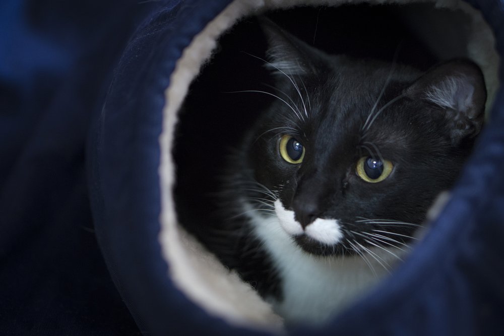 Photograph by Анатолий Брагин