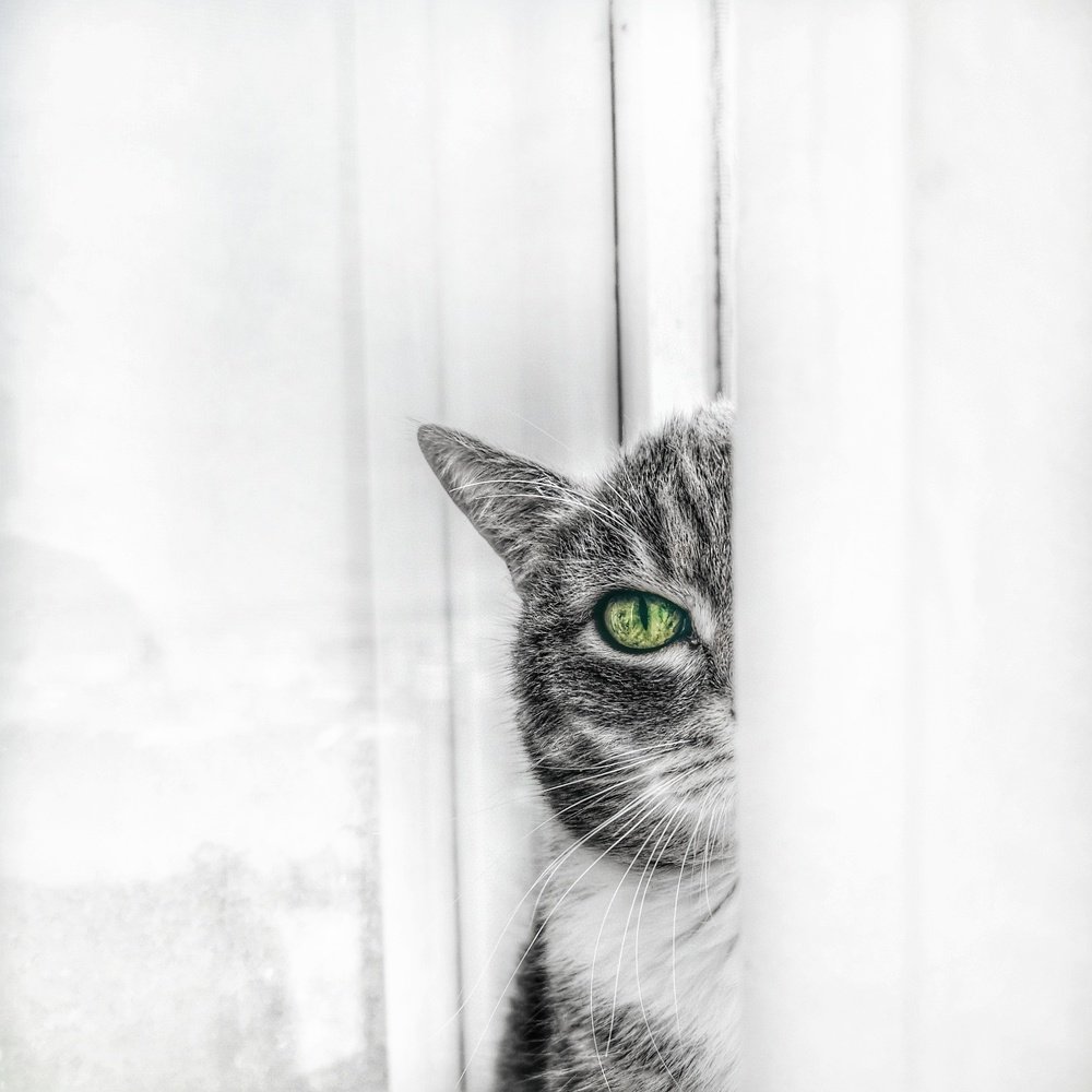 Photograph by Алексей Алексеев