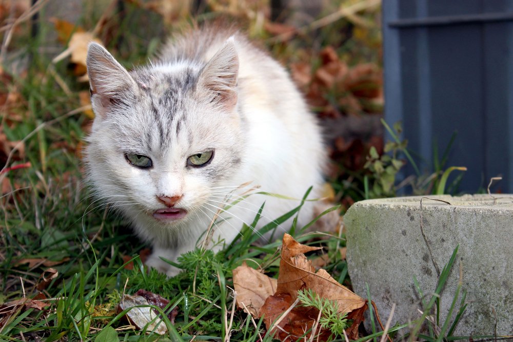 Photograph by Наталья Кузнецова