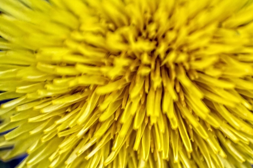 Photograph by Monica Macri