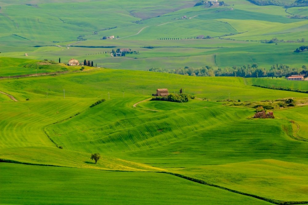 Фотография автора Андрей Симонов