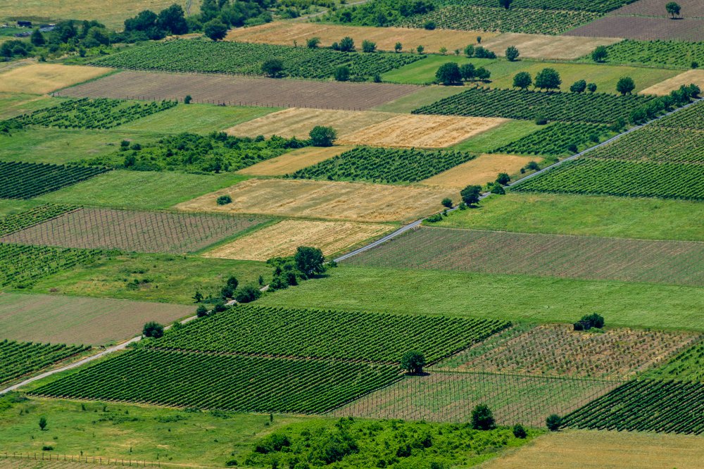 Фотография автора Андрей Симонов