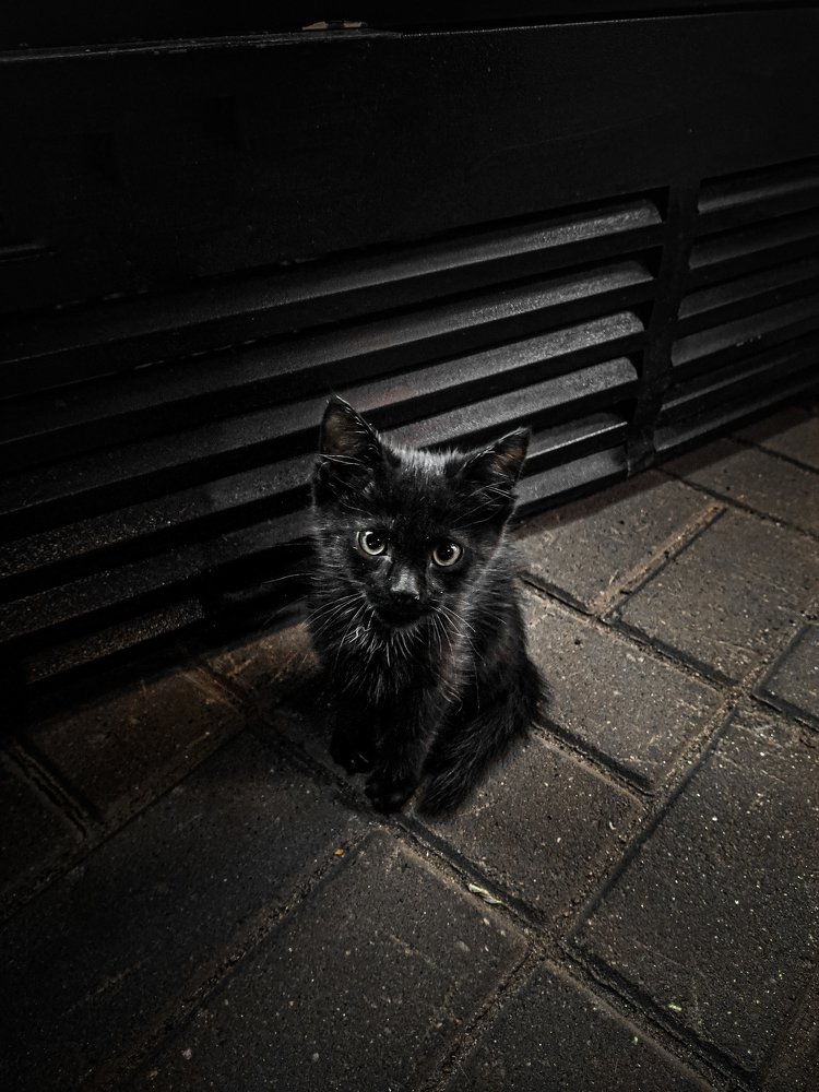 Photograph by Никита Гайдин