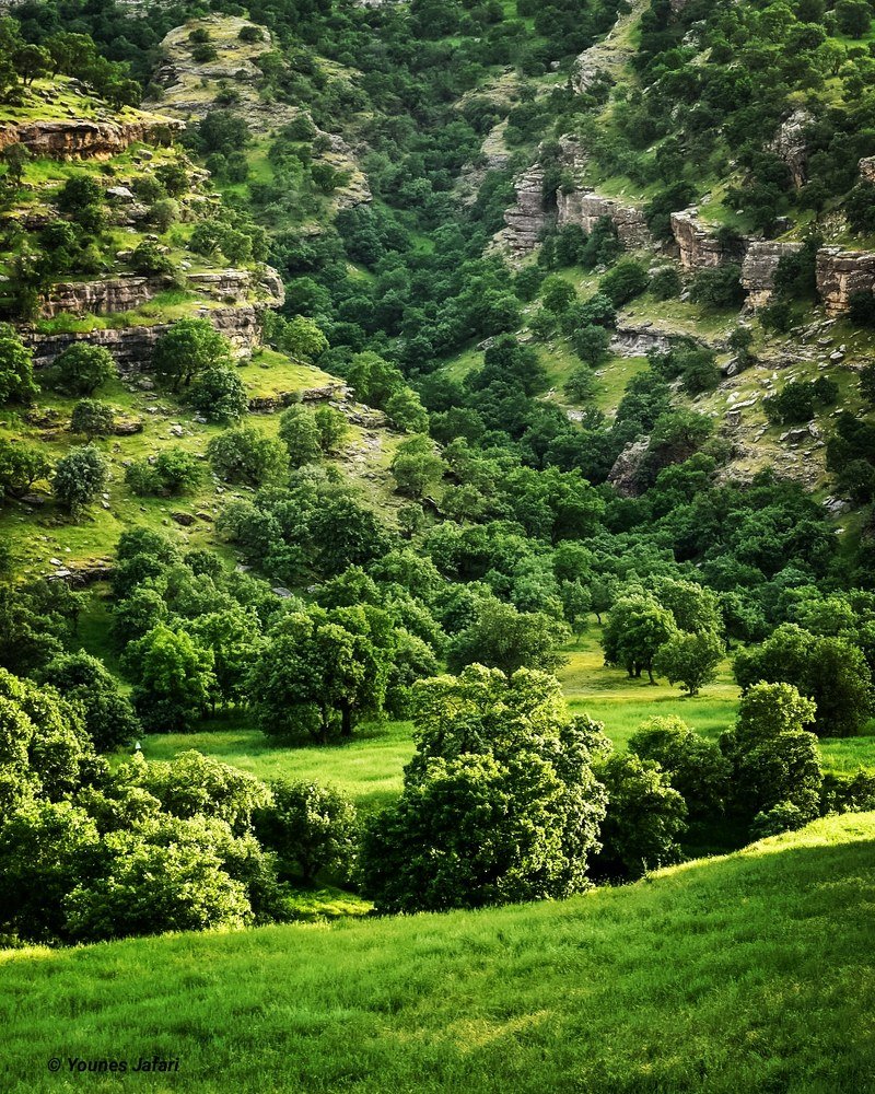 Photograph by Younes jafari