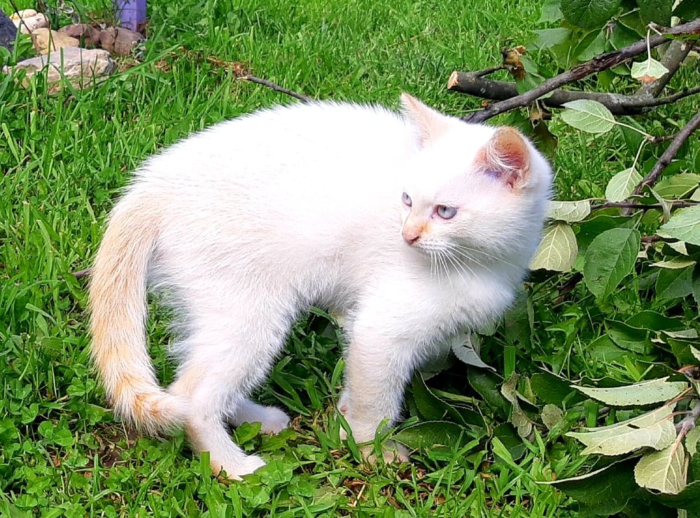 Photograph by Ольга Хромова