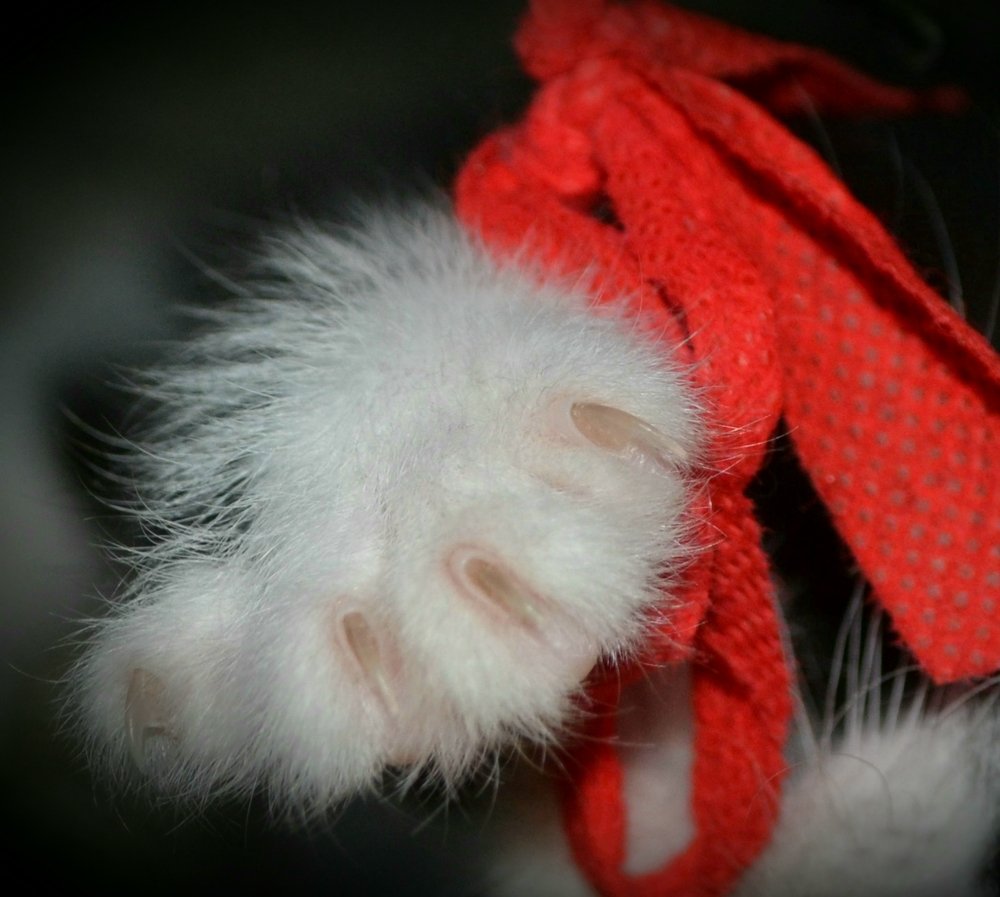 Photograph by Ольга Хромова