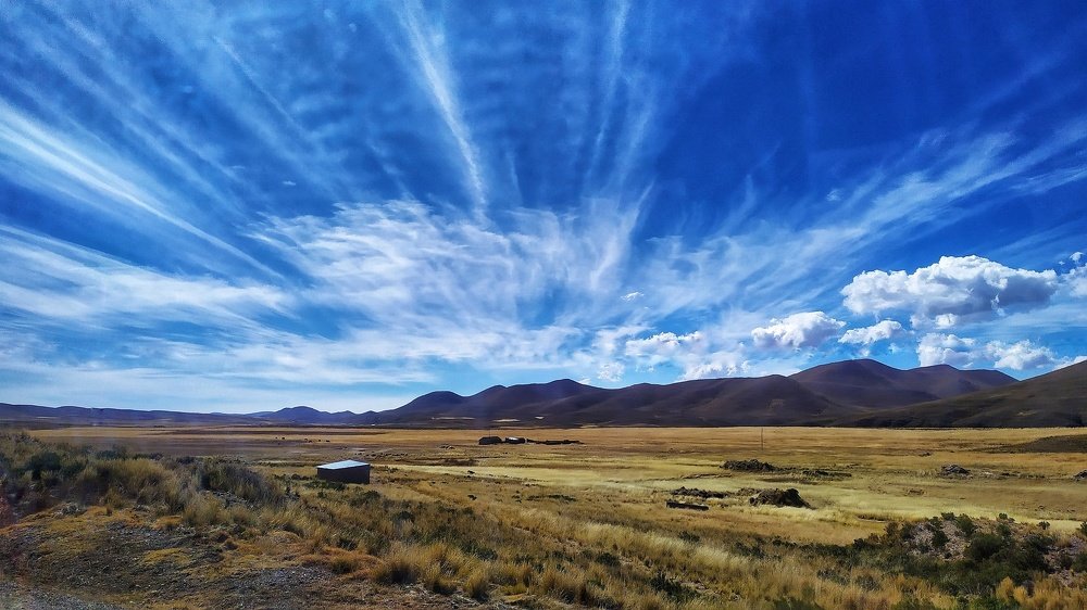 Altiplano boliviano