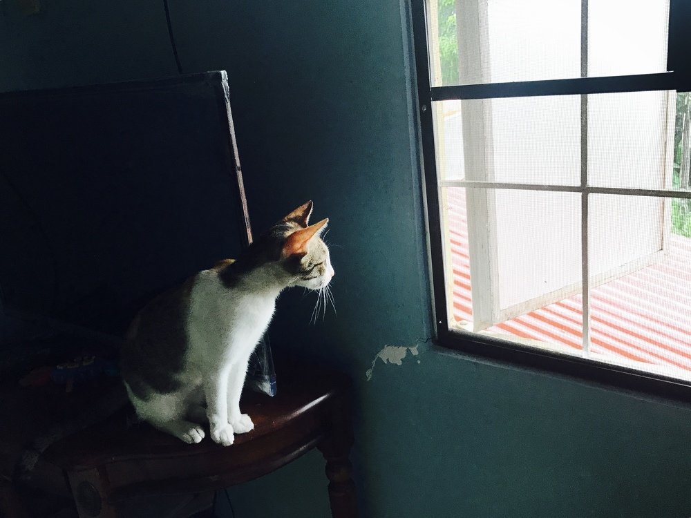 Looking for a friend