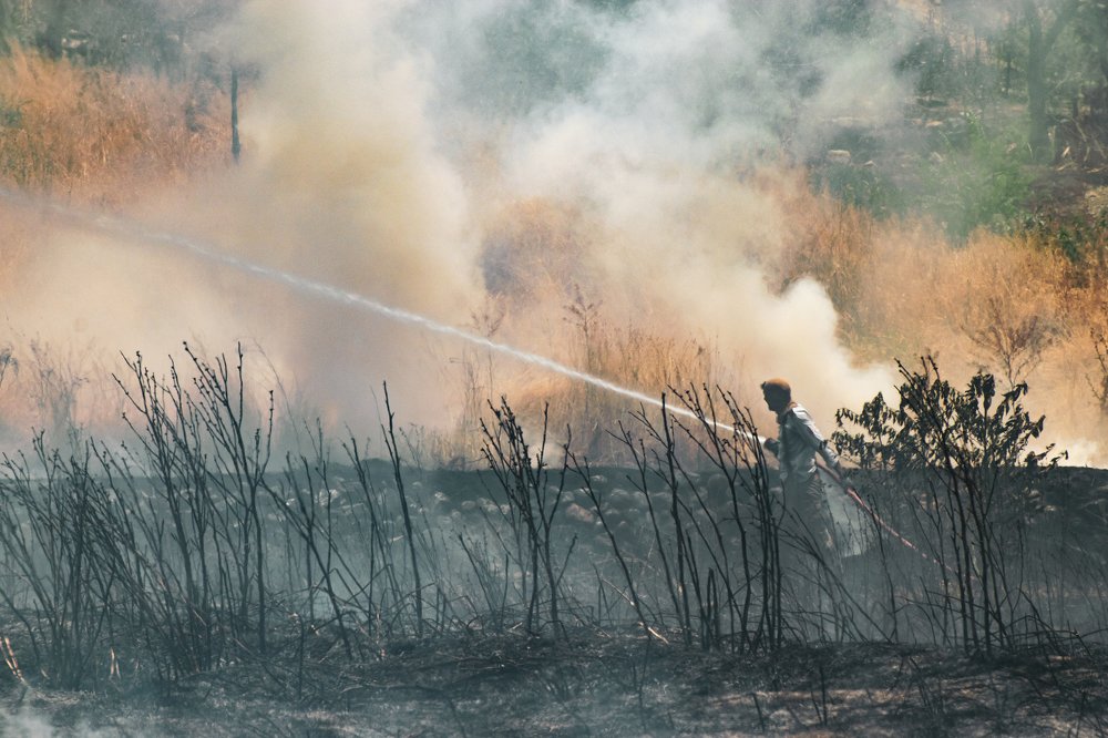 Photograph by Farshad Yazdankhah