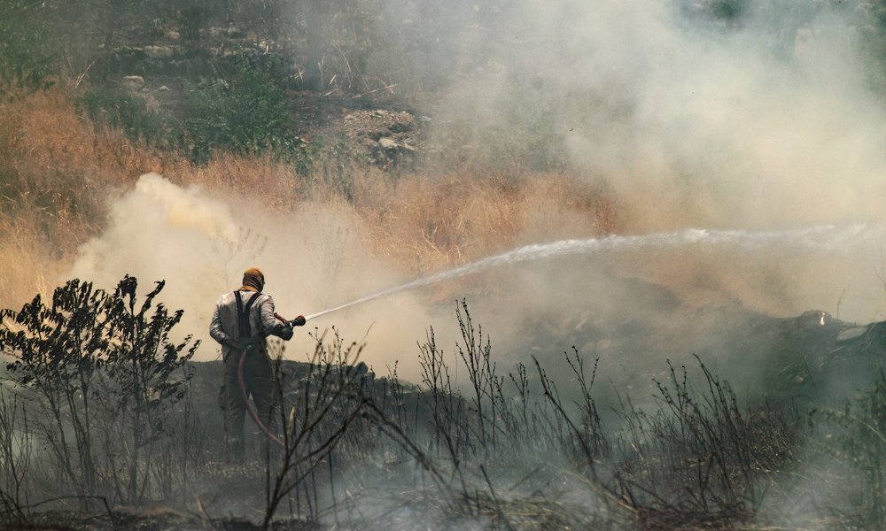 Photograph by Farshad Yazdankhah