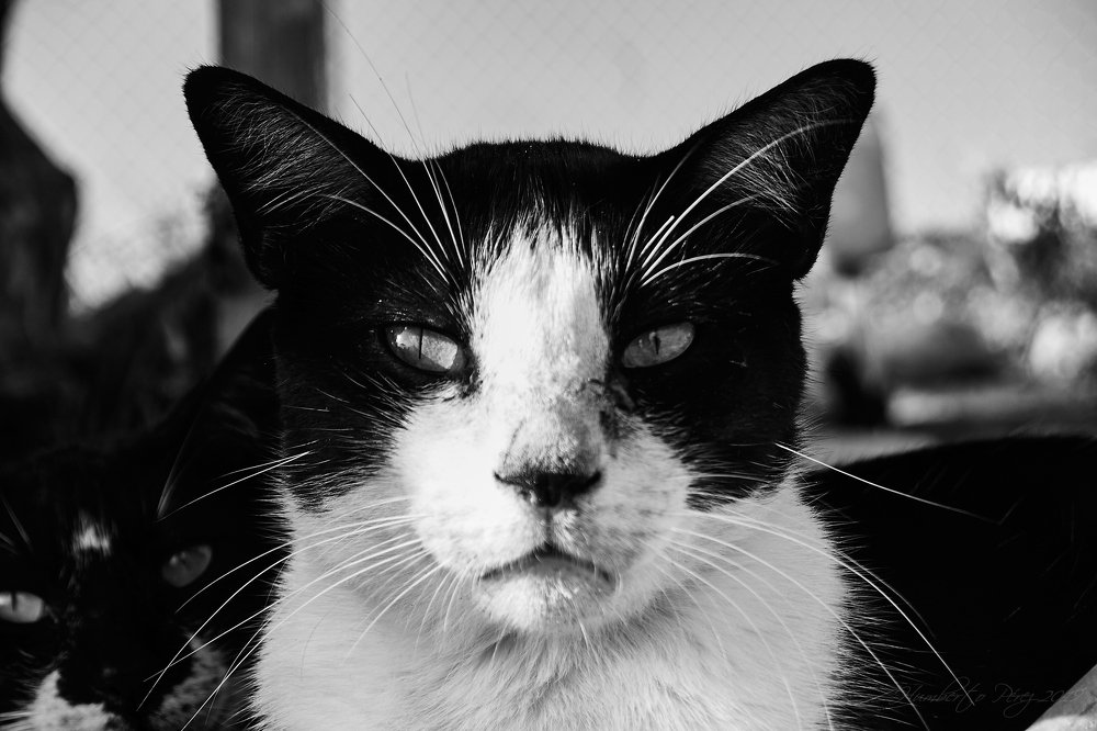 Photograph by Humberto Pérez Flores