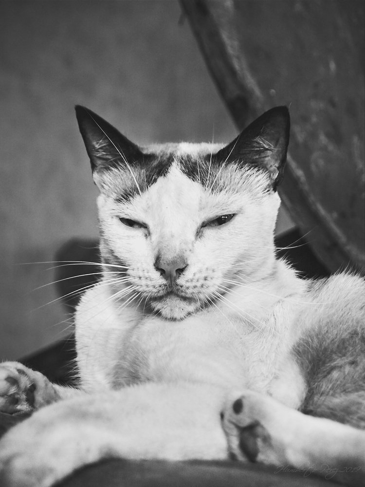 Photograph by Humberto Pérez Flores