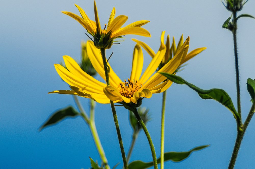 Photograph by Сергей Балухта