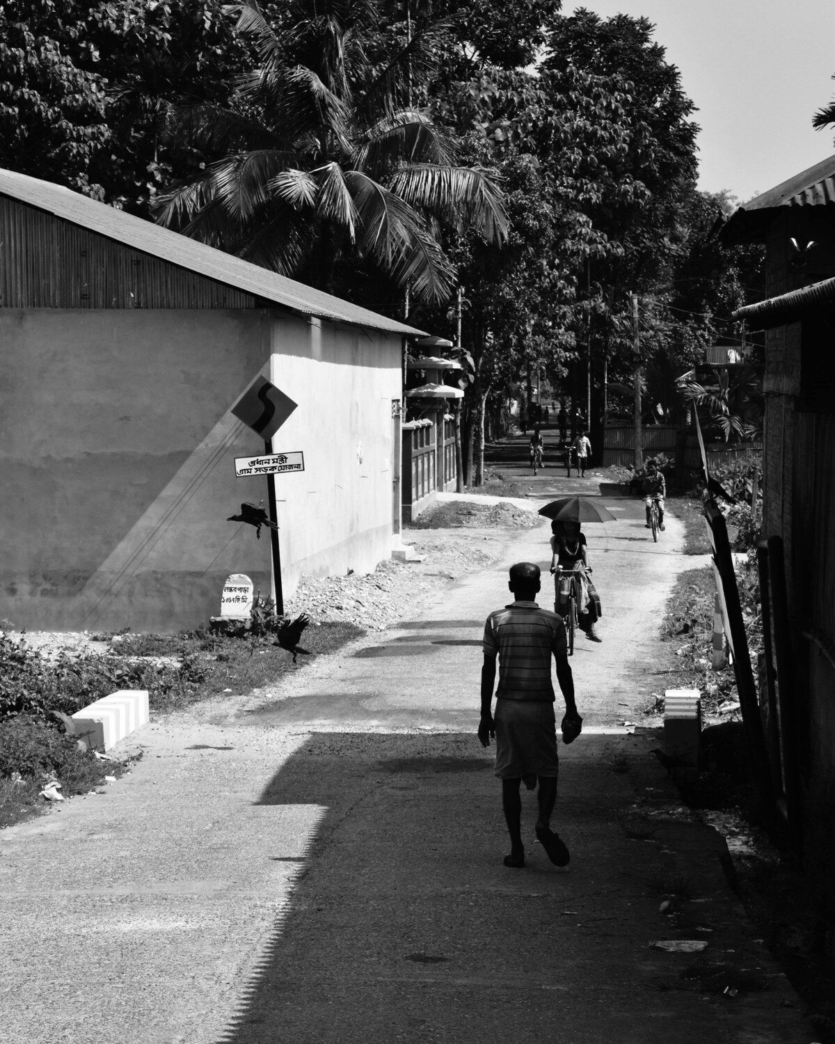 Photo #3572437