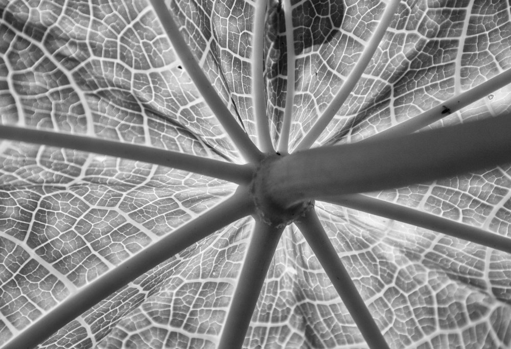 Фотография автора Anil Prabhakar