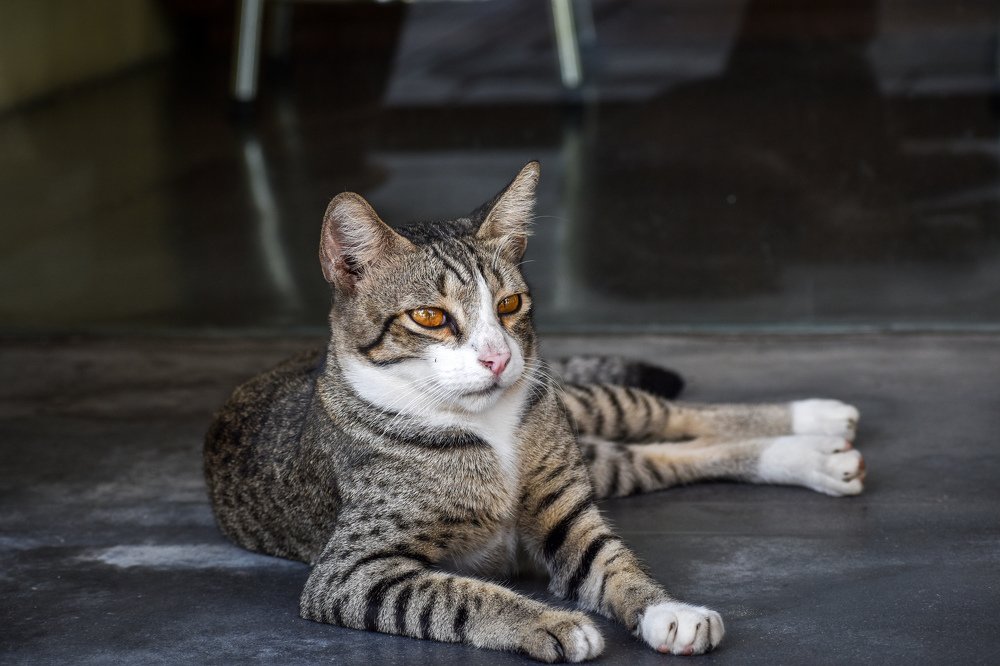 Photograph by Nicholas Ng