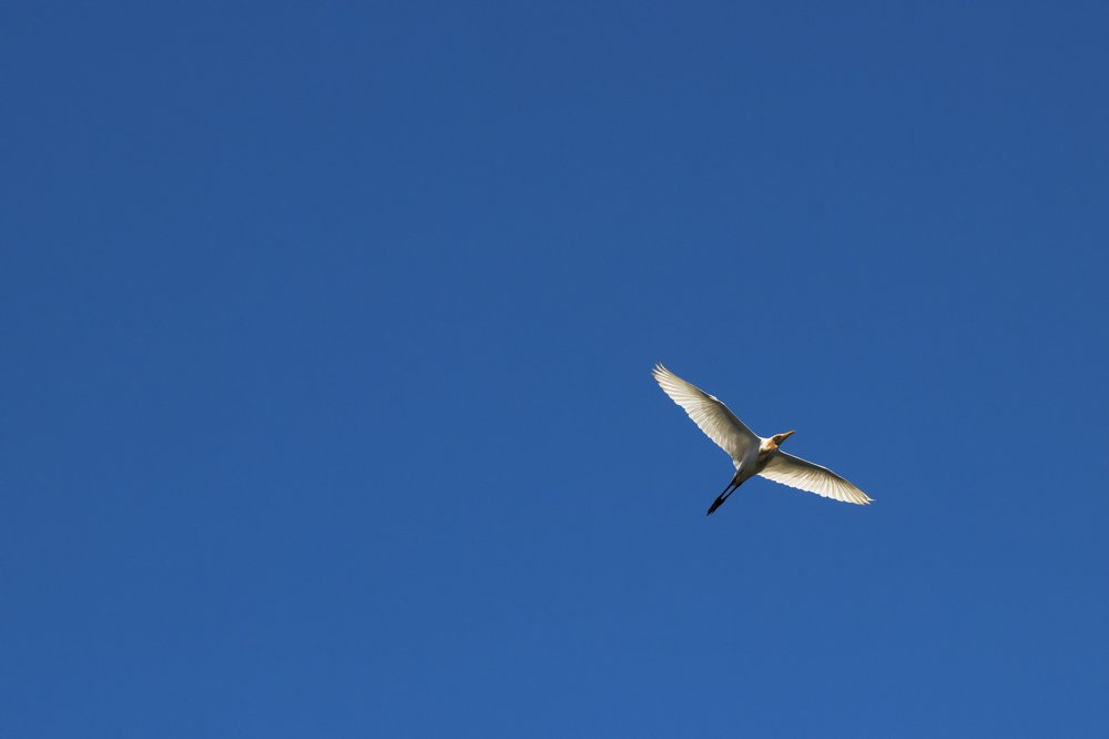 Photograph by Reza Harahap