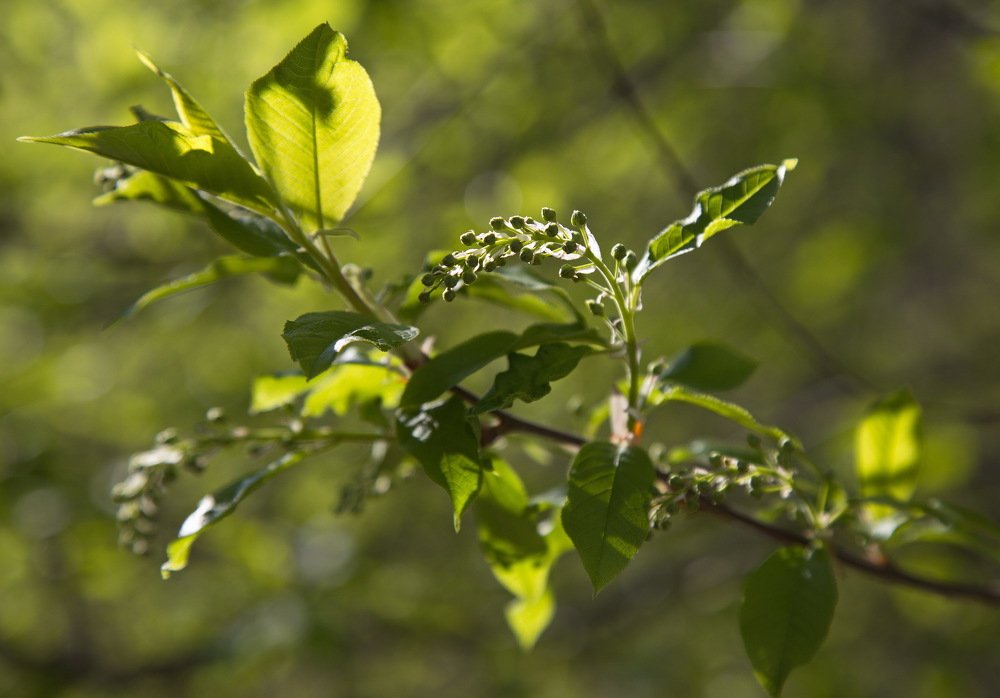 Photograph by Анатолий Васильев