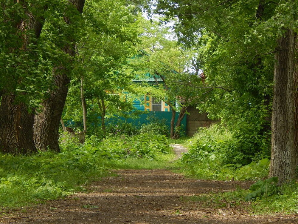 Green Grass, Green Trees, Green House.