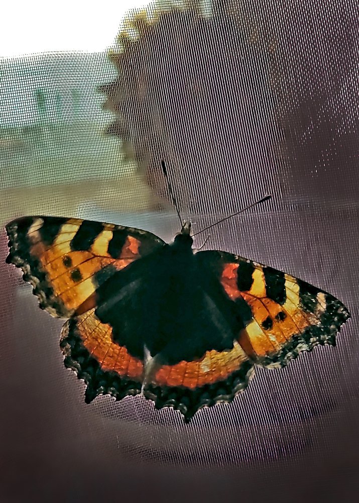 Photograph by Игорь Шадрин