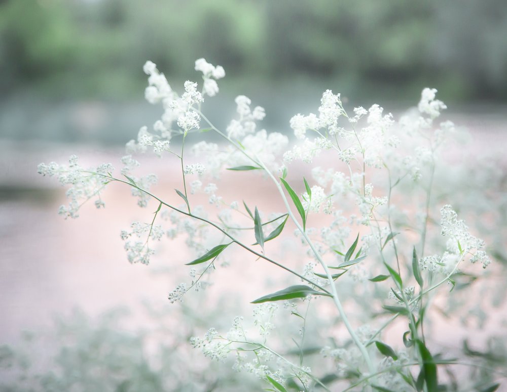 Photograph by Анна Кныш