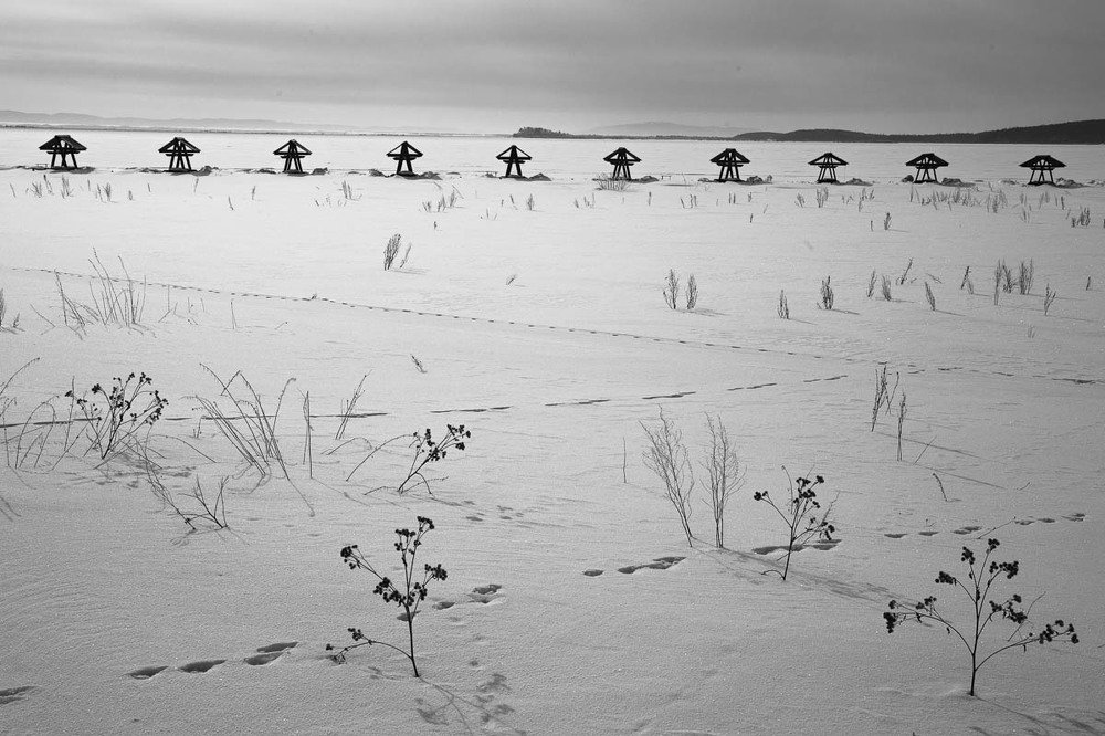 Photograph by Анна Кныш