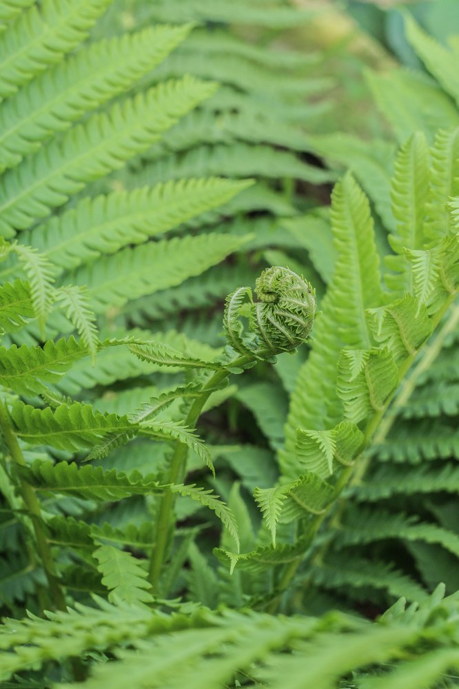 Photograph by Анна Дорофеева