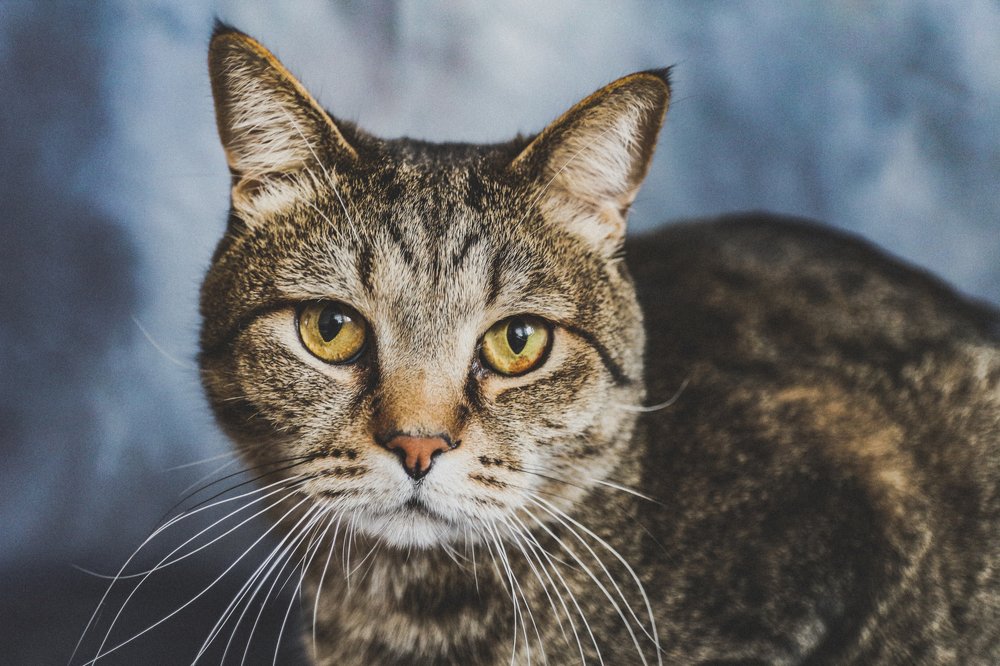 Photograph by Анна Дорофеева