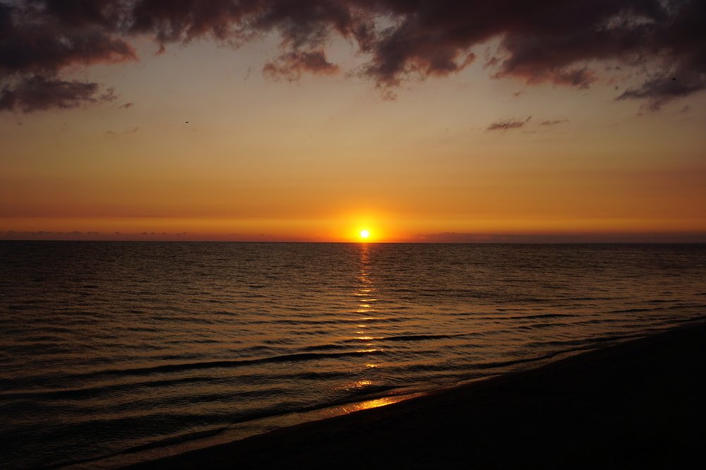 Photograph by Алеся Писнова