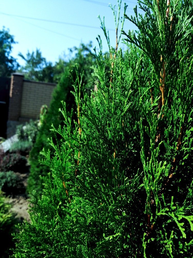 Photograph by Марина