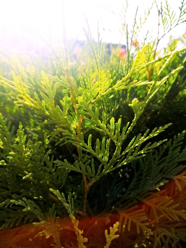 Photograph by Марина