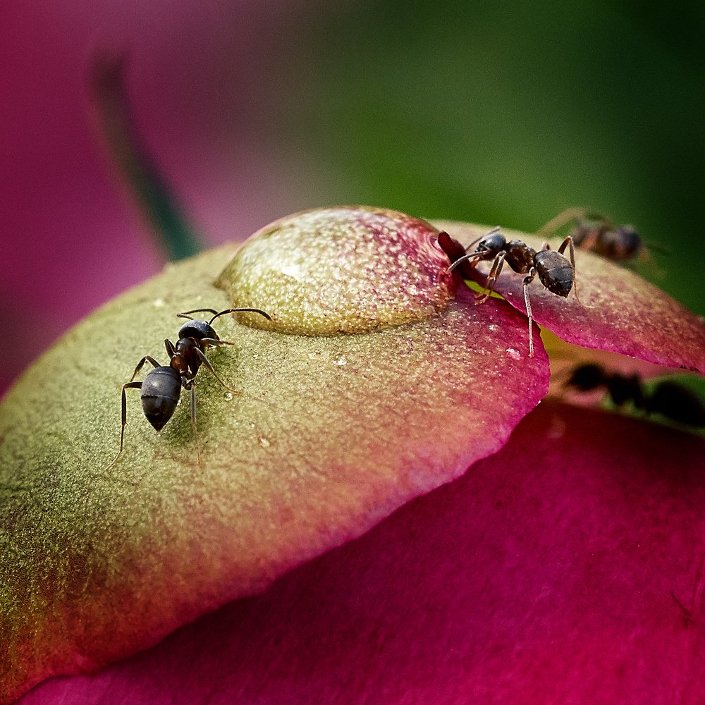 Photograph by Юлия