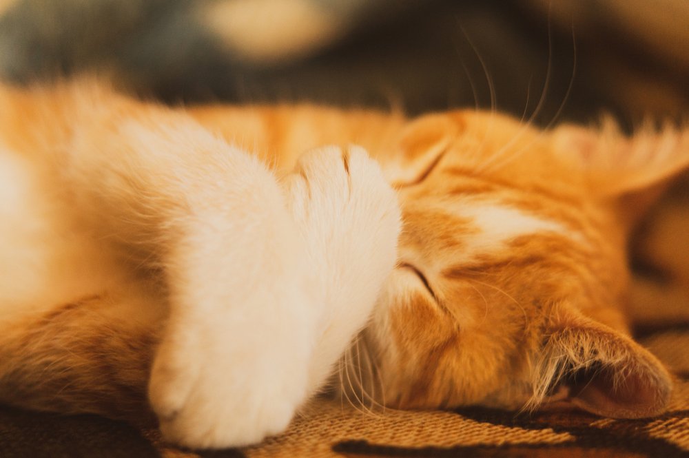 Photograph by Анастасия Зайцева