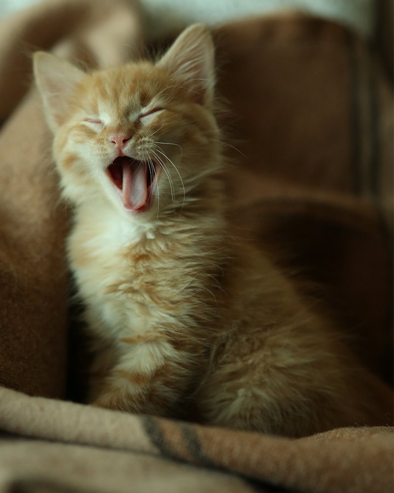 Photograph by Дарья Комарова