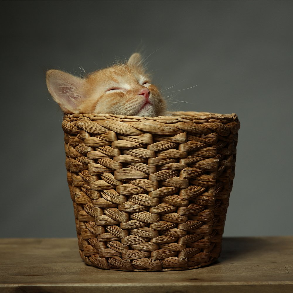 Photograph by Дарья Комарова