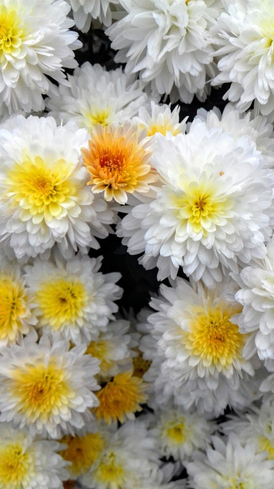 Photograph by Марина