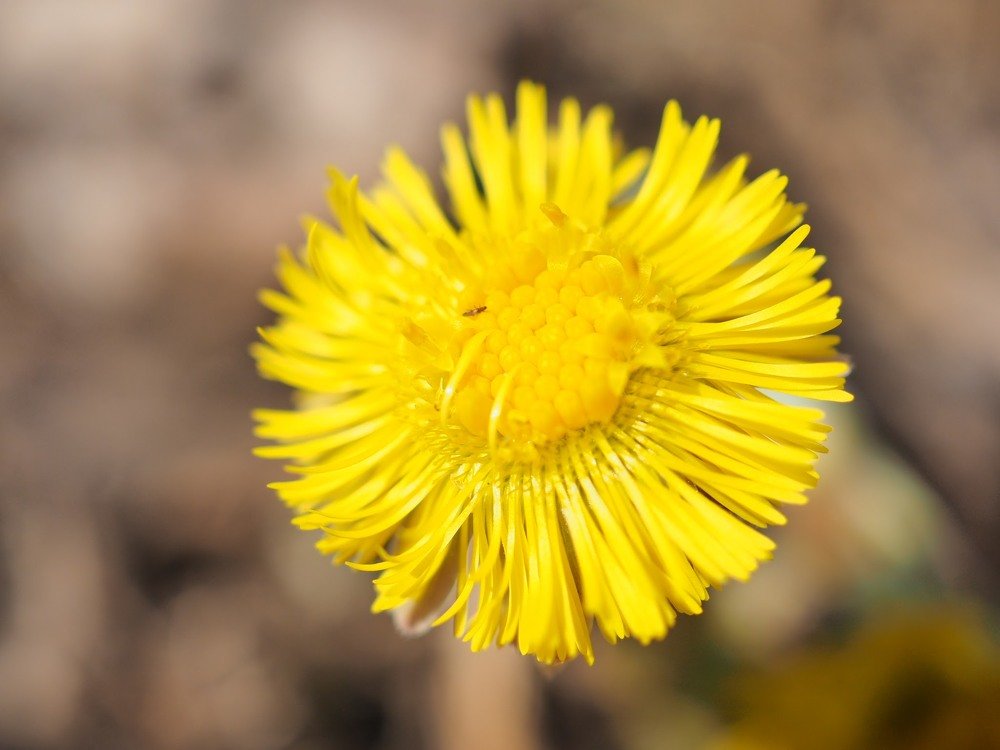 Фотография автора Иван Вдовин
