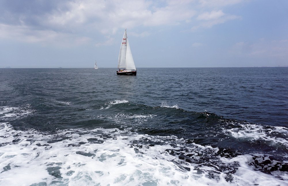 Photograph by Корженевская Лариса Анатольевна