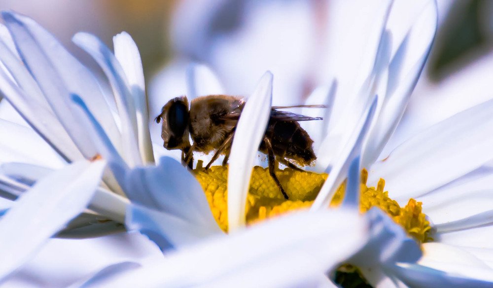 Photograph by Елена Прохорова