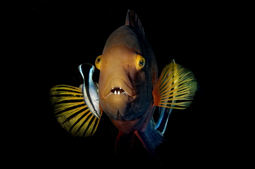 in the cleaning station