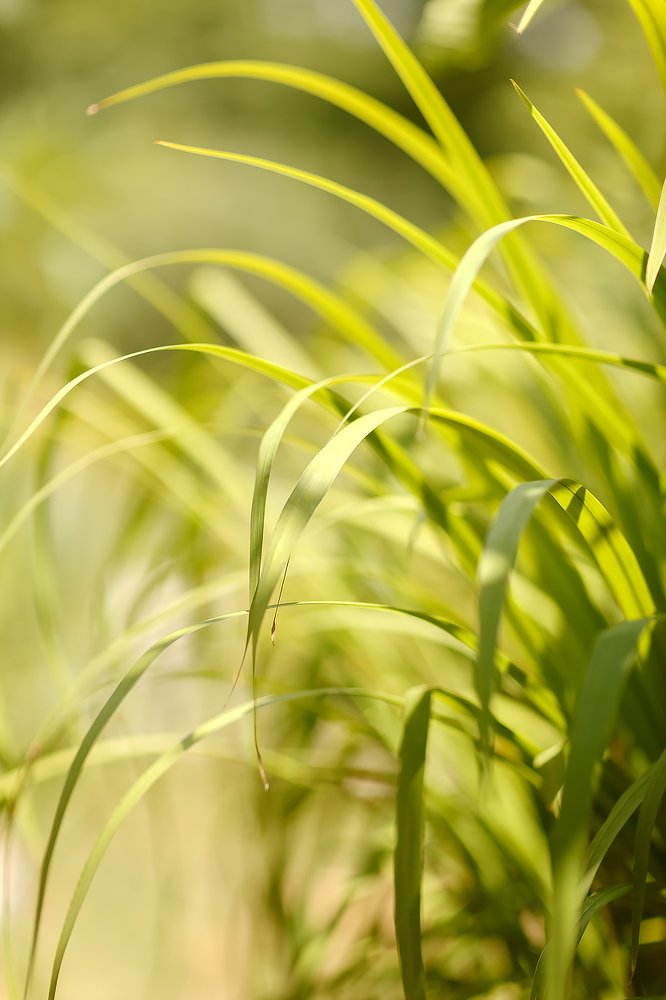 Photograph by Ирина Коденцева