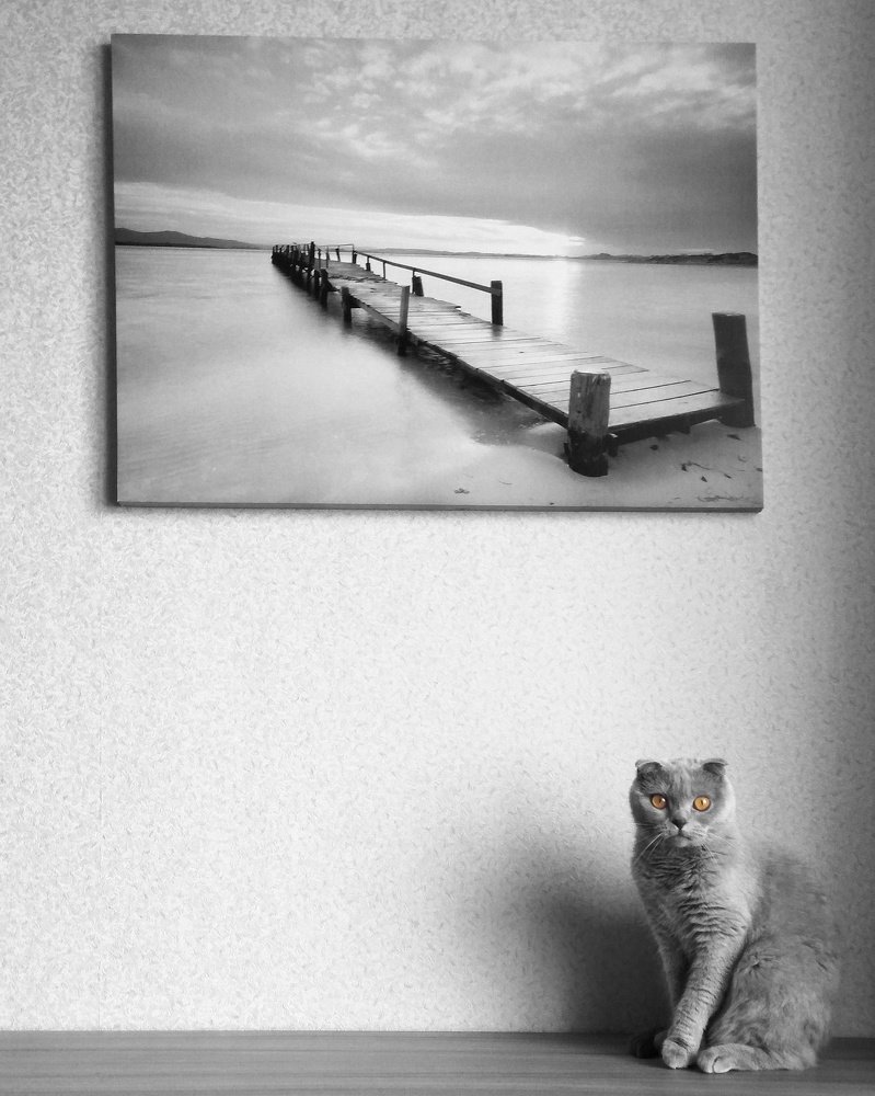 Photograph by Витковский Андрей