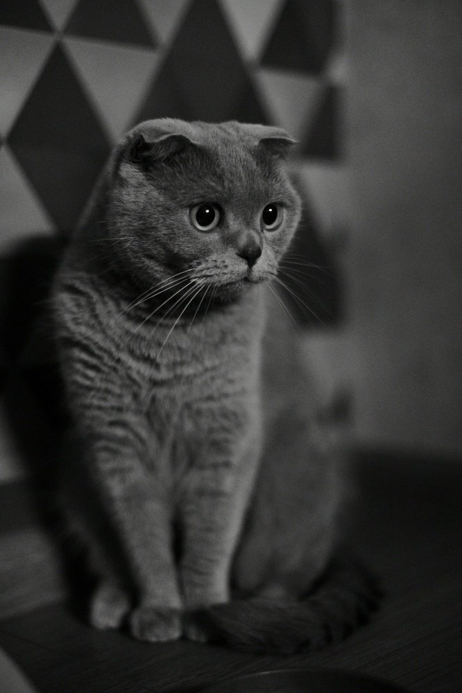 Photograph by Витковский Андрей