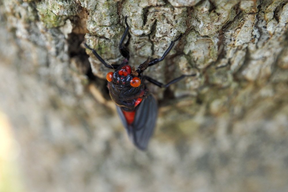 Photograph by  Abie za